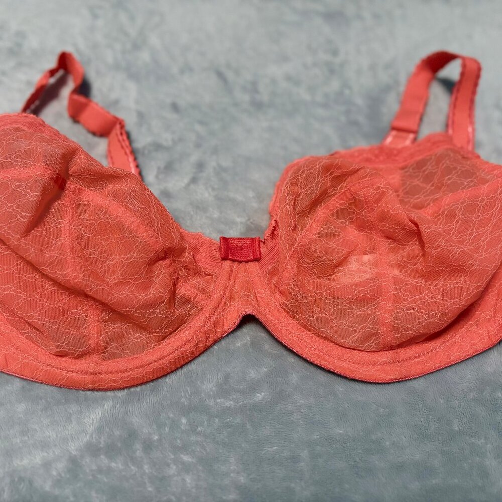 Panache Plunge Bra